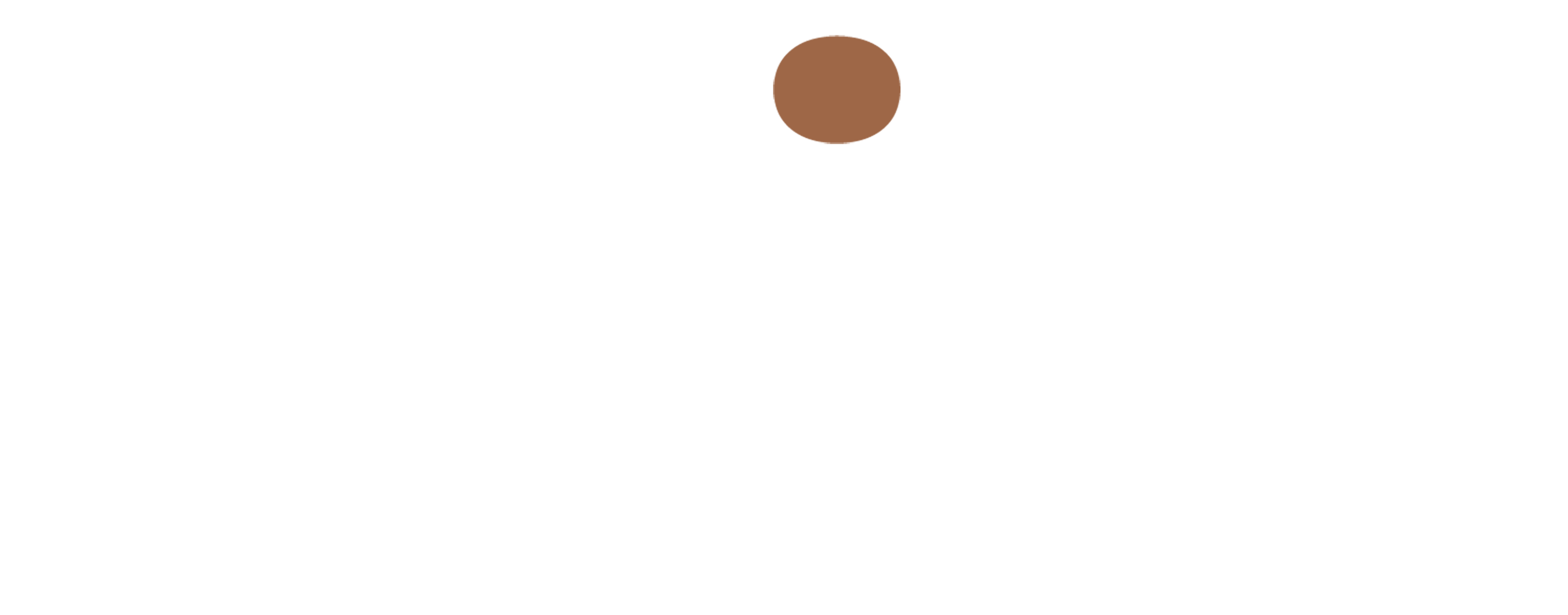 The Visibility Council